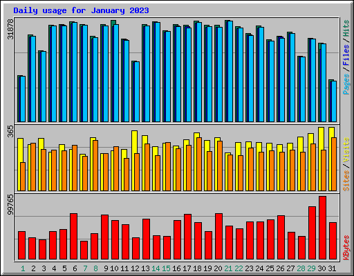 Daily usage for January 2023