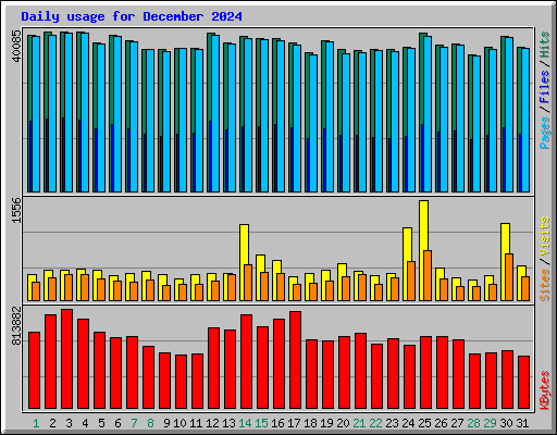 Daily usage for December 2024