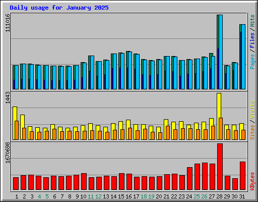 Daily usage for January 2025