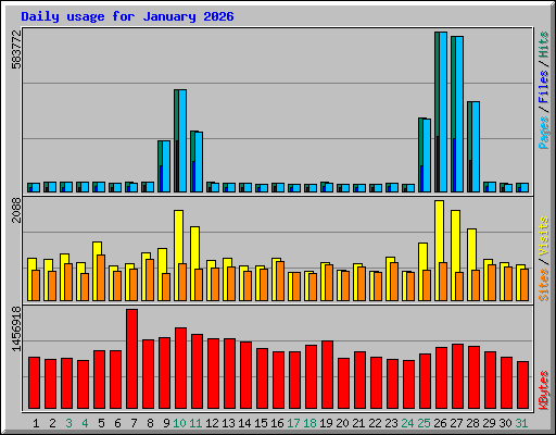Daily usage for January 2026