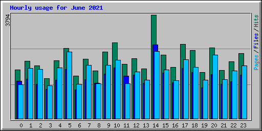 Hourly usage for June 2021