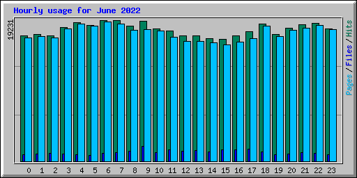 Hourly usage for June 2022