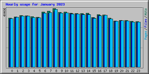 Hourly usage for January 2023