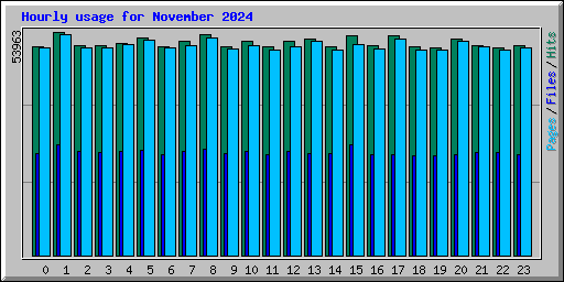 Hourly usage for November 2024