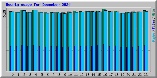 Hourly usage for December 2024