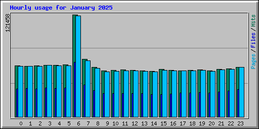 Hourly usage for January 2025