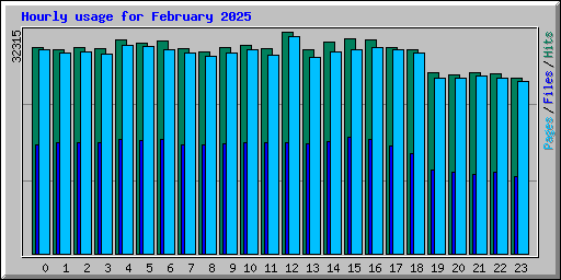 Hourly usage for February 2025
