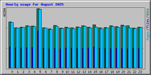 Hourly usage for August 2025
