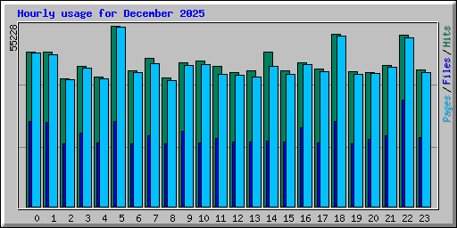 Hourly usage for December 2025