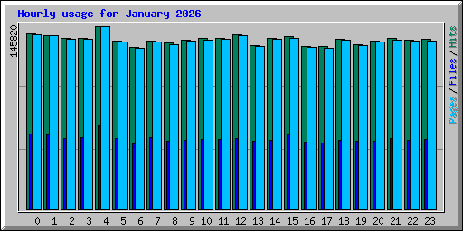 Hourly usage for January 2026