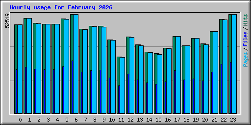 Hourly usage for February 2026