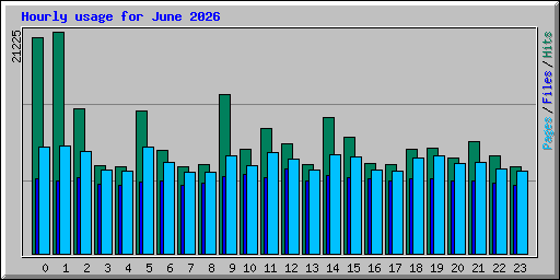 Hourly usage for June 2026